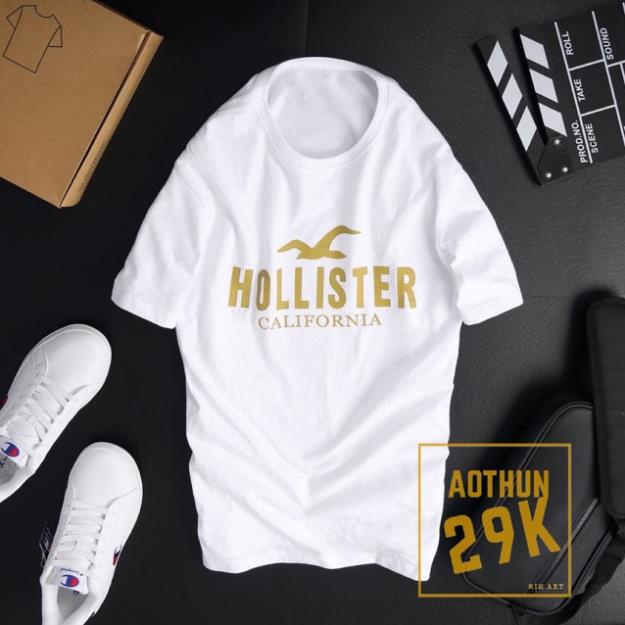 ALBUM 1061 - ÁO THUN UNISEX HOLISTER CALI MÀU ĐỒNG NHIỀU MÀU