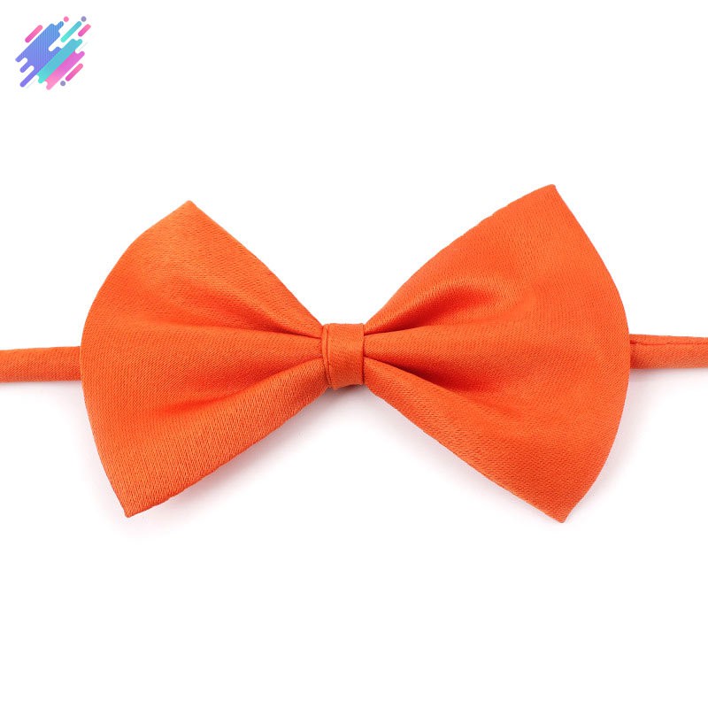 Nơ đeo cổ xinh xắn cho thú cưng