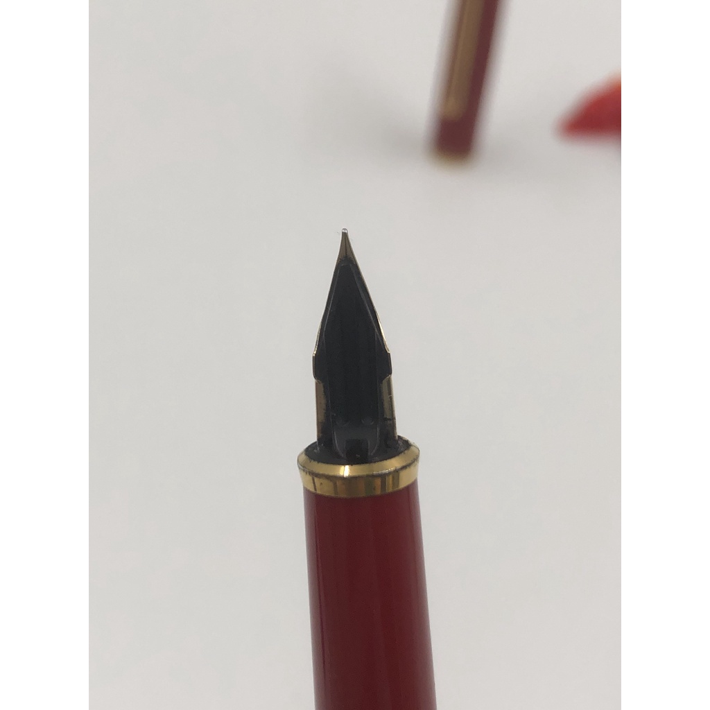 Bút mực Pilot made in Japan - 580.44556