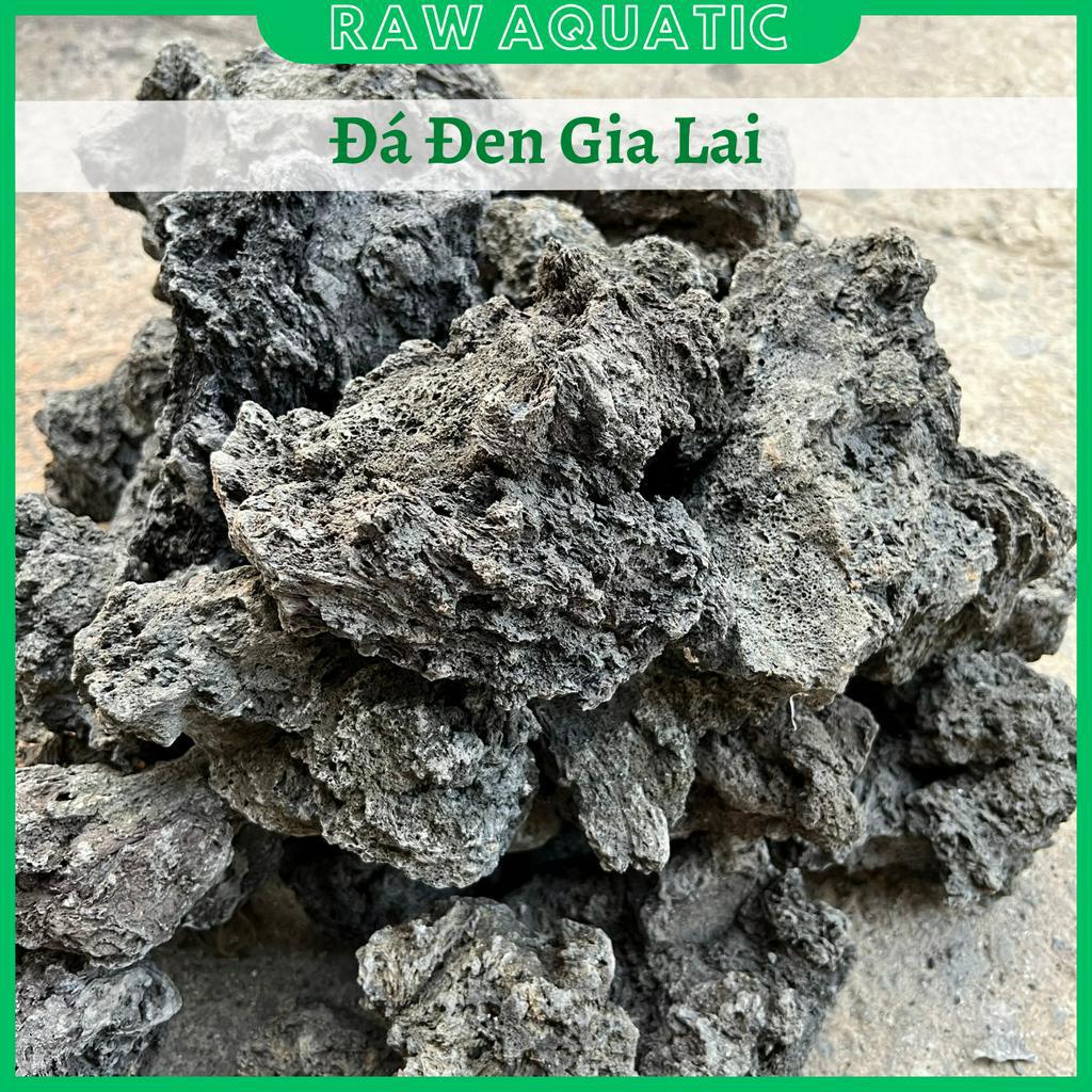 Đá Đen Gia Lai Trang Trí, Setup Bể Cá Cảnh, Bể Thủy Sinh