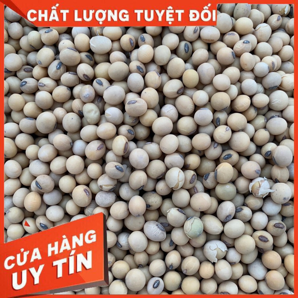 Đậu Tương Đậu Nành Quê