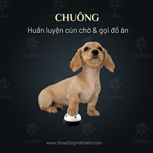 [Mã PETSALE19 giảm 8% đơn 250K] Chuông huấn luyện chó | BossDog