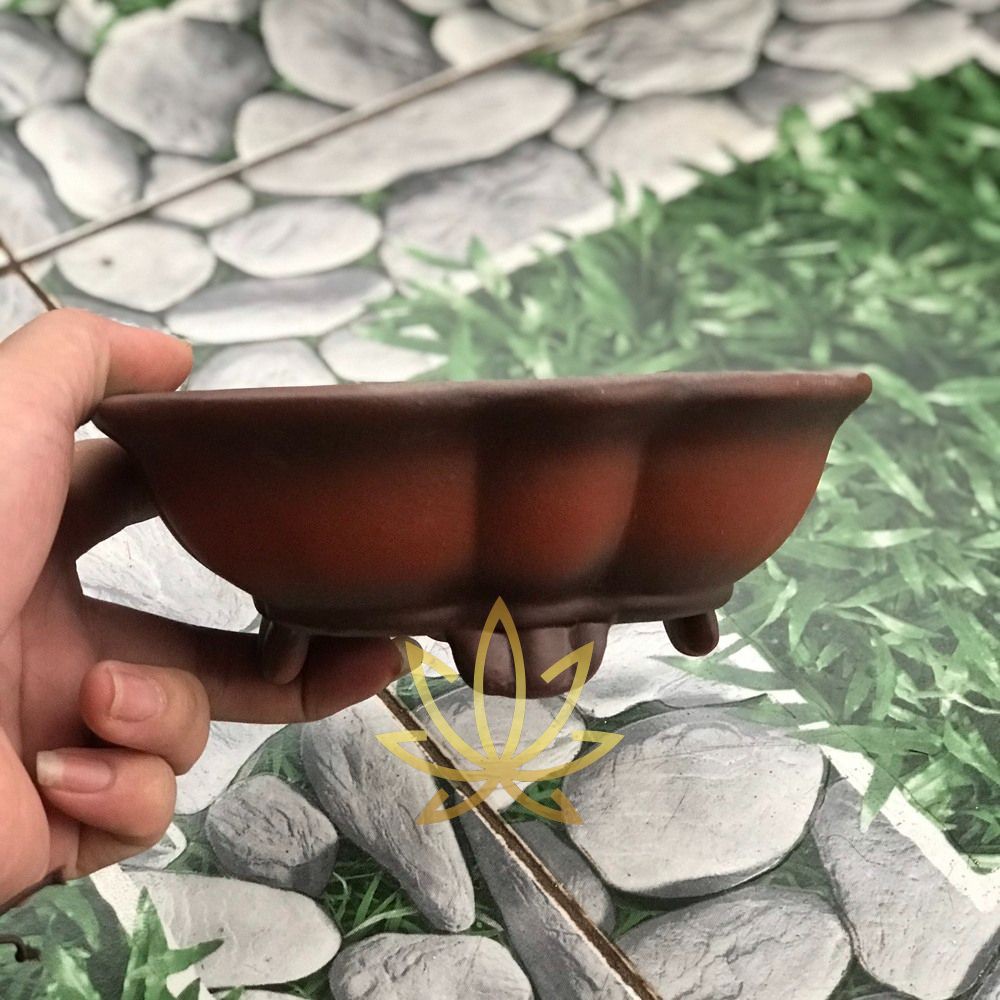 Chậu Mini Trồng Sen Đá Xương Rồng Cây Cảnh Bonsai Gốm Sứ Bát Tràng Họa Tiết Trơn Màu Nâu CMN 27