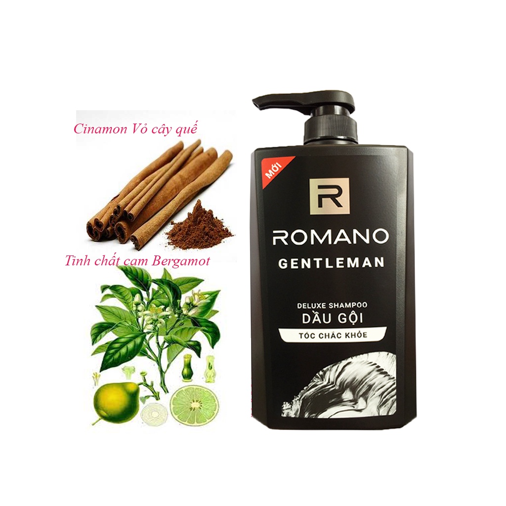 Dầu gội và sữa tắm nước hoa cao cấp Romano chai 650g