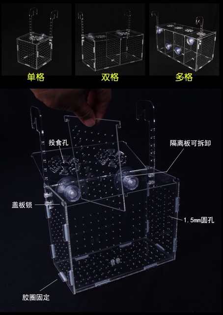 Lồng tép dưỡng cá và tép mica siêu trong - lồng tép thuỷ sinh