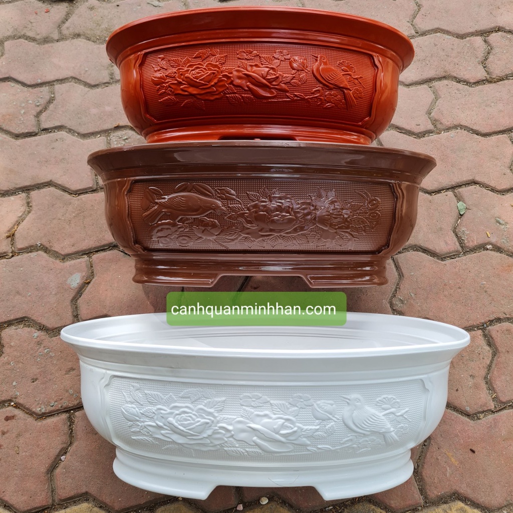 Chậu bonsai mini nhựa, chậu bonsai nhựa hình ovan trồng cây phù hợp cho các loại cây bonsai, cây mini Minh Hân Garden