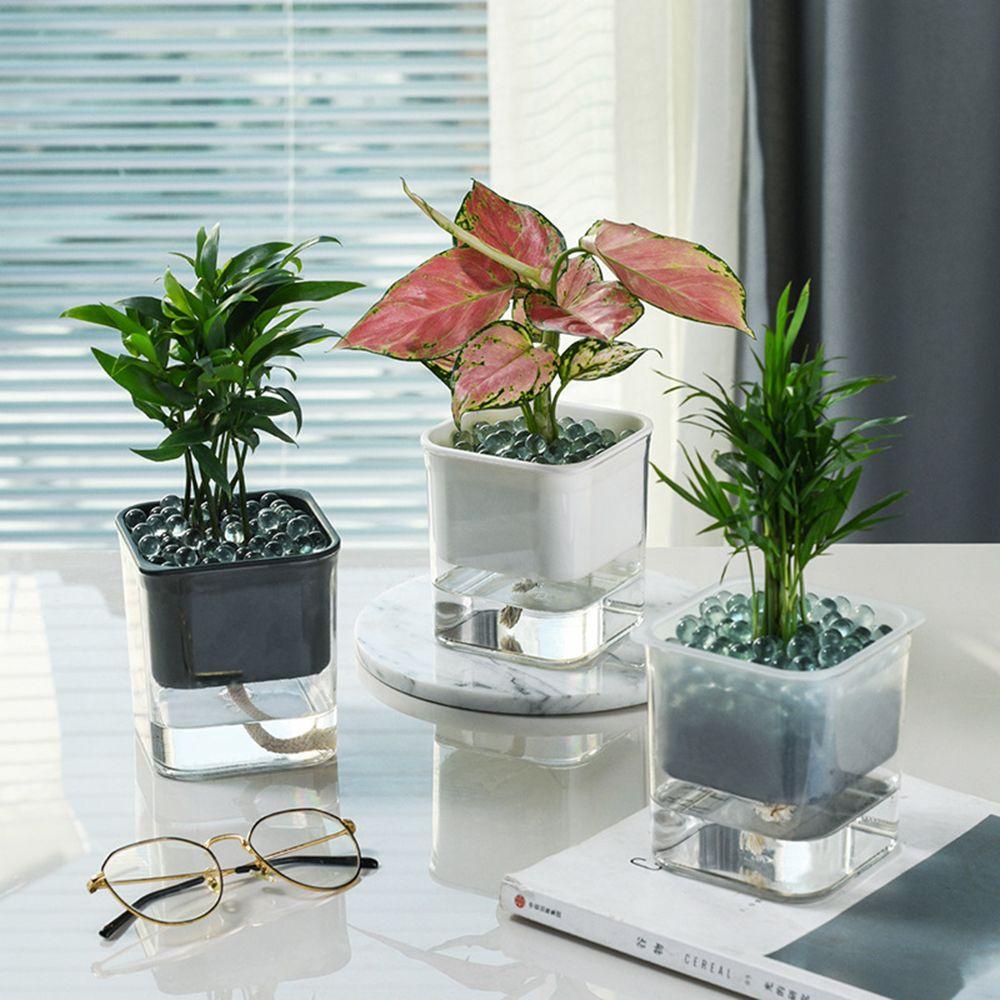 Chậu Trồng Cây Thủy Canh Tự Tưới Nước Tiện Lợi 1 #