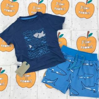 Bộ Baby Shark bé trai 12/18m - 5/6y