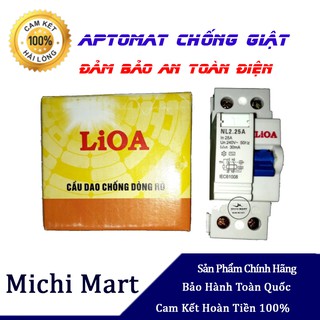 Aptomat chống giật Lioa 25A dòng rò 30 mA (cầu dao chống dòng rò)