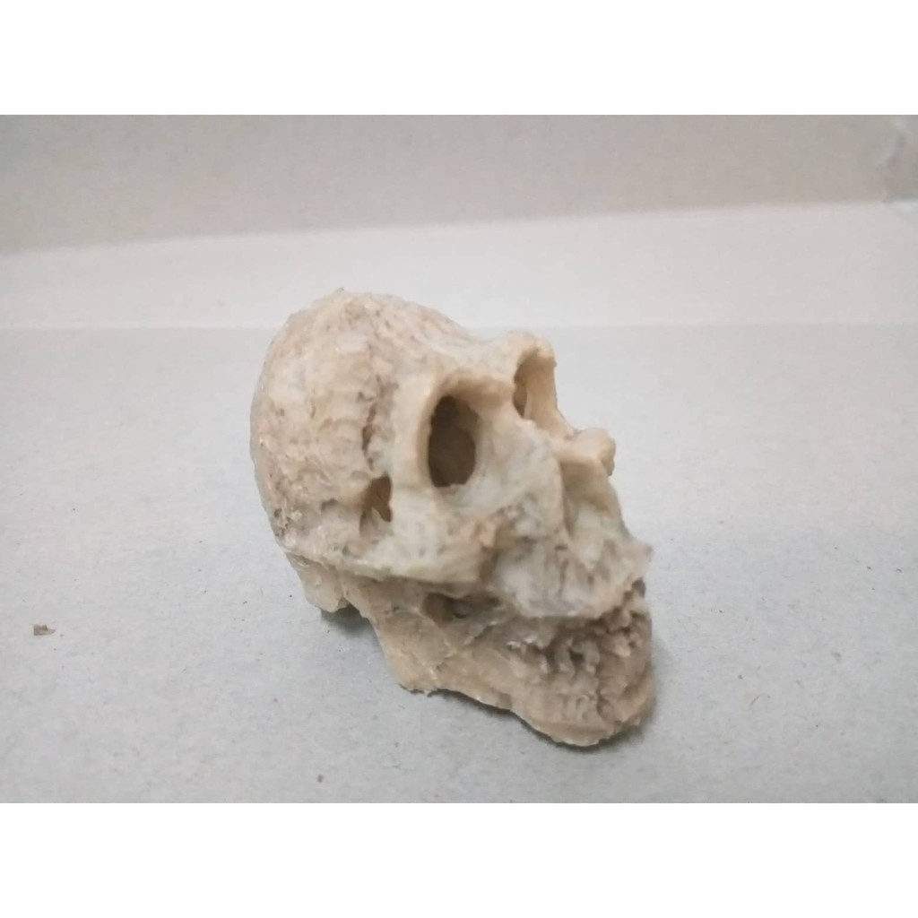 Sọ Người nhỏ trang trí bể cá, phụ kiện thuỷ sinh, bò sát..