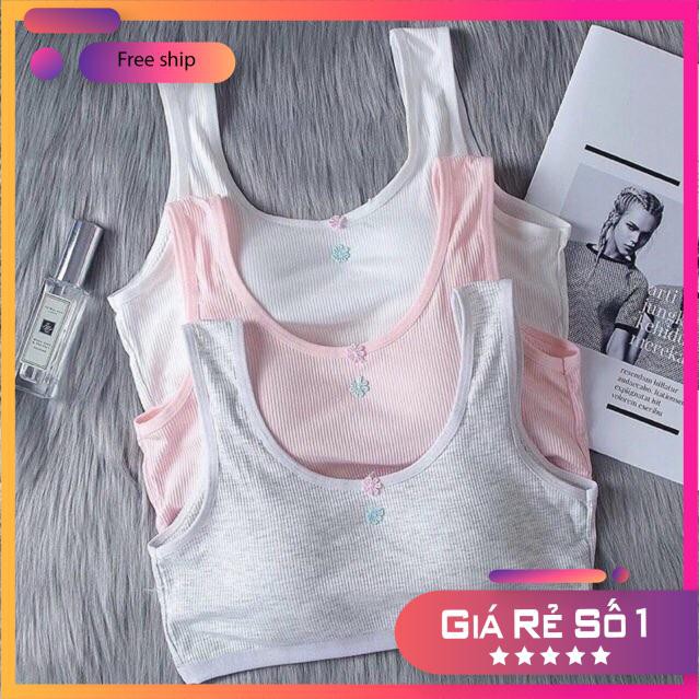 Áo Bra Hoc Sinh Cài Sau