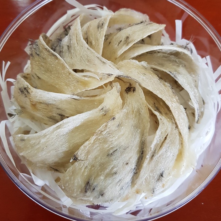 Tổ Yến Thô Nguyên Chất Khánh Hòa, Yến Sào Thô Già Sợi Nguyên Tổ 100% Loại 1 Cao Cấp