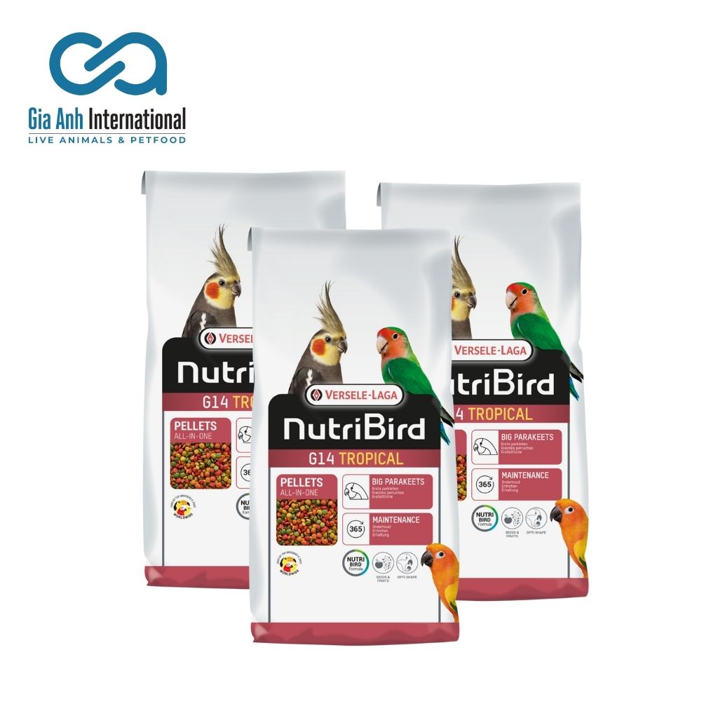 Hỗn Hợp Trái Cây Trộn Cho Vẹt Đuôi Dài Nhiều Màu - Versele-laga Nutri Bird G14 Tropical Giúp Tăng Cường Sức Khoẻ Gói 1kg