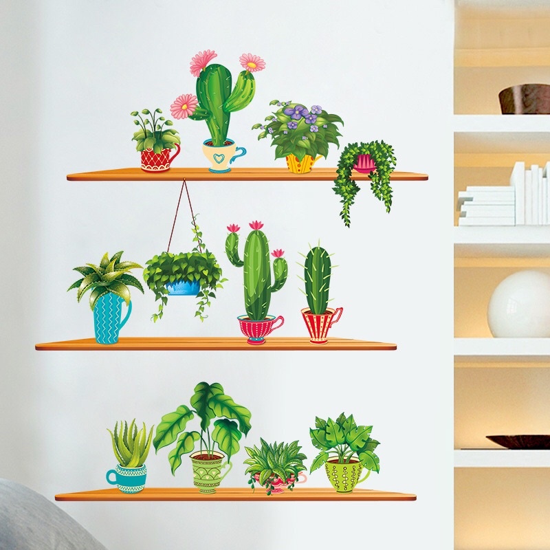 Decal dán tường chậu cây xương rồng và cây xanh trên kệ