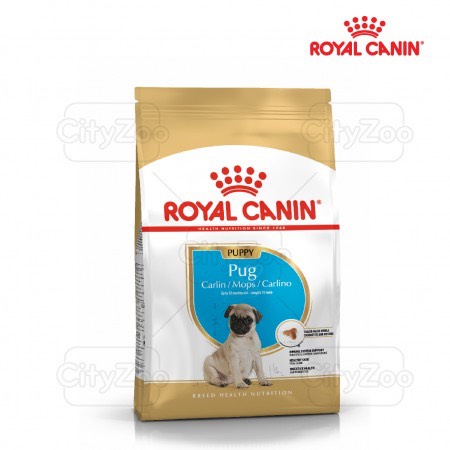 Thức Ăn Cho Chó Royal Canin Pug Junior (500g)