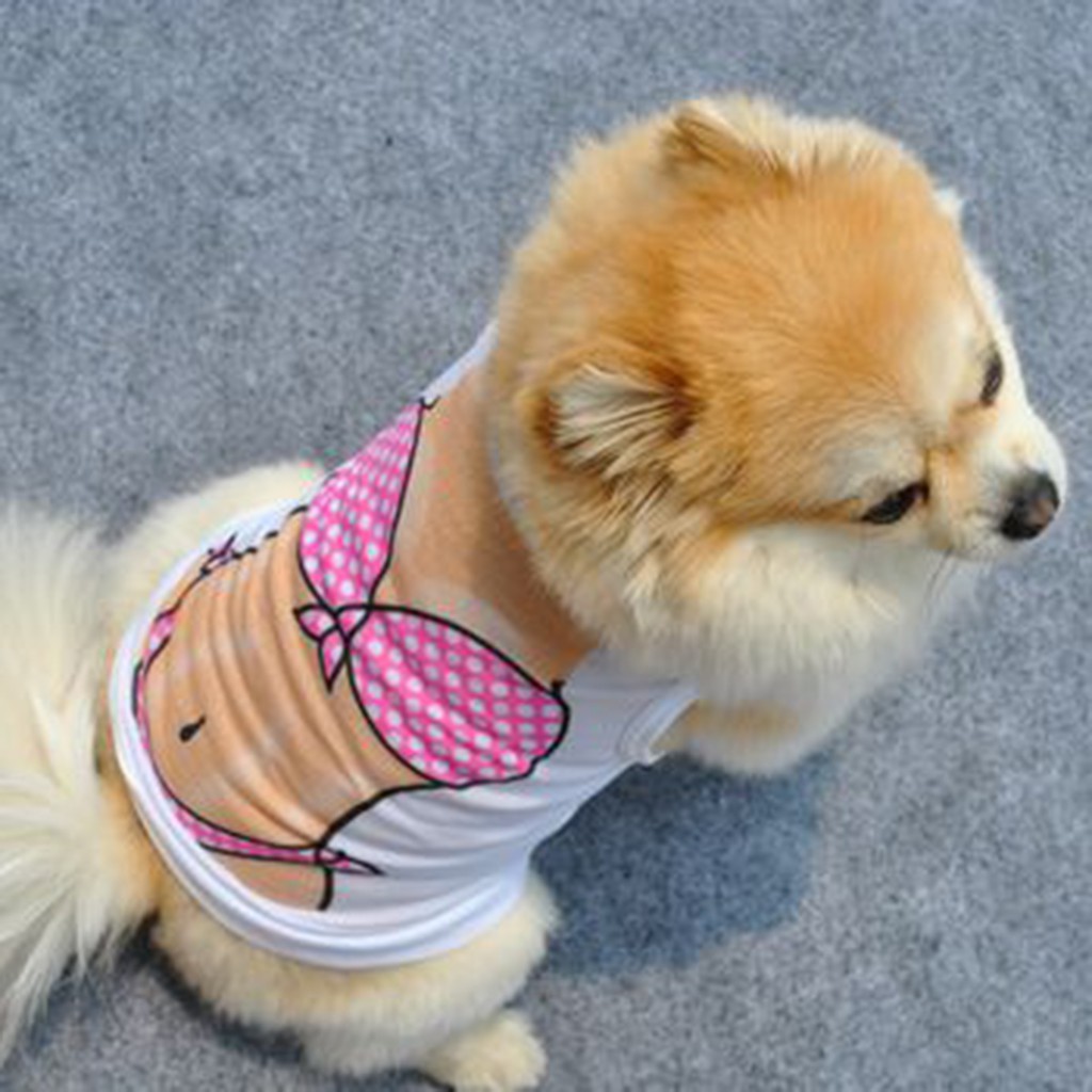Áo bikini thời trang mùa hè cho thú cưng