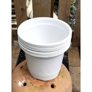 Bộ 10 chậu nhựa trồng cây kích thước fi 180 x 145 mm