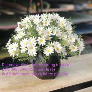 Hoa giả- cúc họa mi điểm rong cụm 24 bông 6 nhánh .