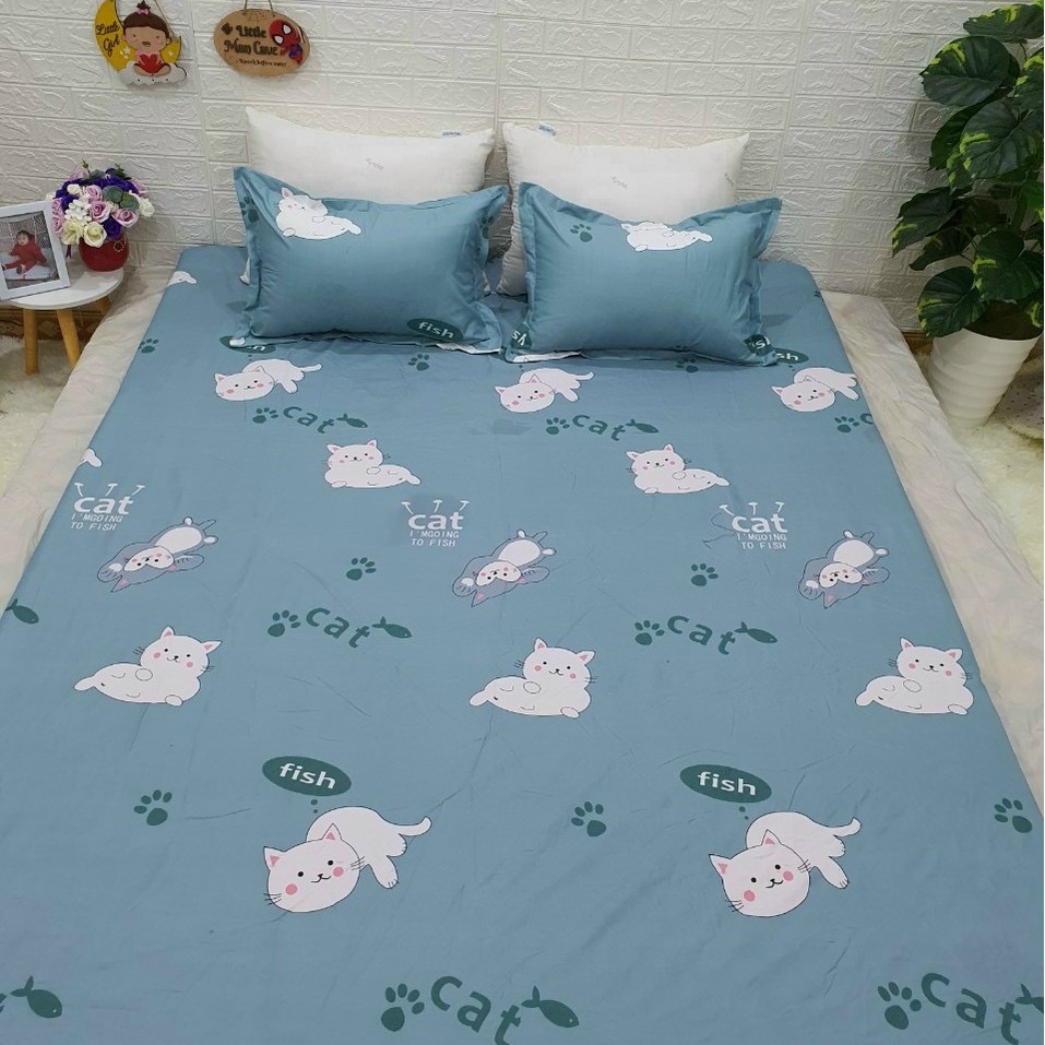 Ga gối poly Lin Bedding drap ga giường poly, ga trải giường cotton + 2 vỏ gối nằm đầy đủ kích cỡ | BigBuy360 - bigbuy360.vn