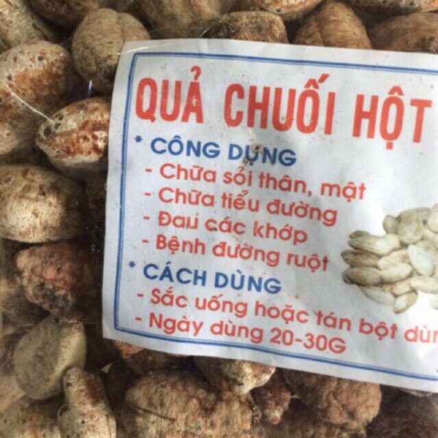 1kg Chuối hột rừng Tây Bắc