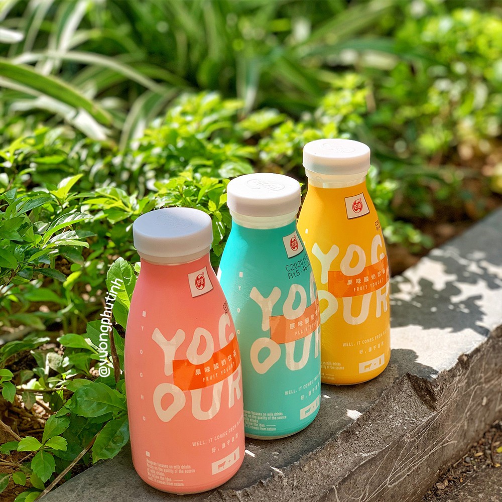 SỮA CHUA HOA QUẢ - Hãng Hảo Nguyên | Vương Phủ Tỉnh