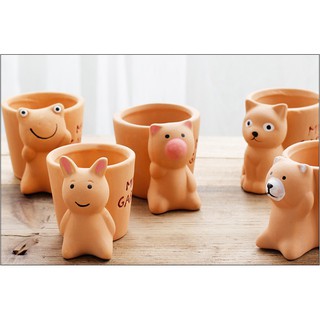 Chậu trồng cây mini