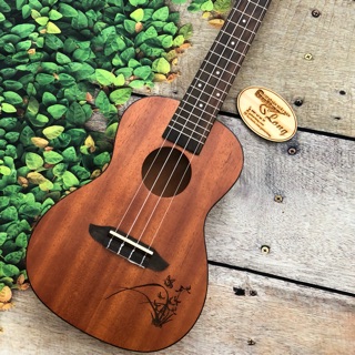 Đàn Ukulele Concert Oterga Gỗ Mahogany - CB2