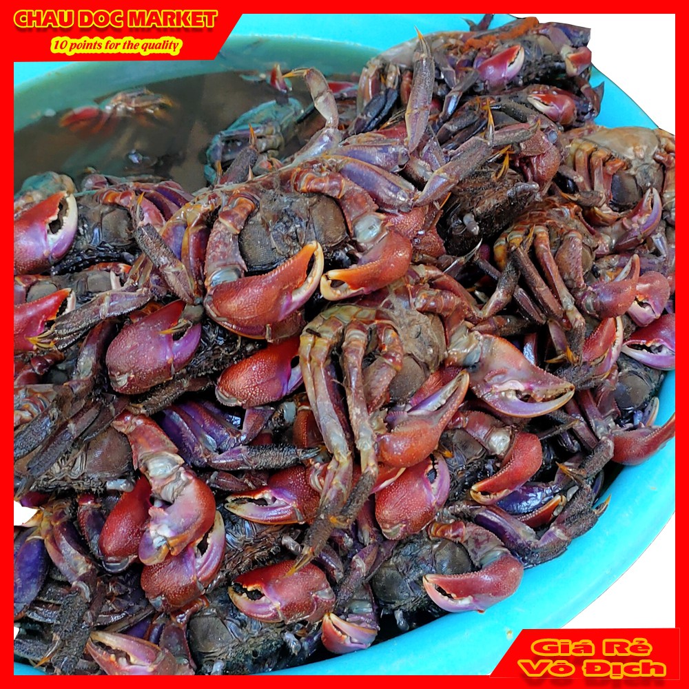 Ba Khía Muối Nguyên Con Hủ 700gr Thịt Nhiều Chưa Trộn Loại To Chất Lượng.