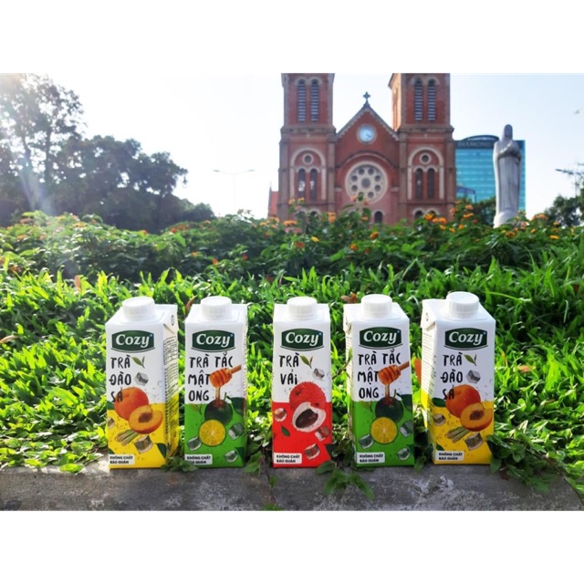 Trà Cozy Pha Sẵn