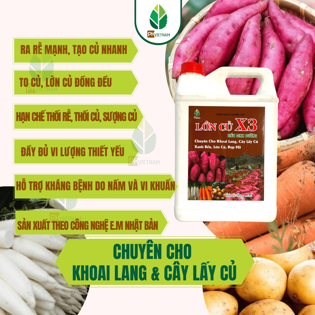 Phân Bón Hữu Cơ Lớn Củ X3 Can 5 Lít – Chuyên Cho Khoai Lang, Cây Lấy Củ – Lớn Củ, Đẹp Mã, Chắc Củ - PH Việt Nam