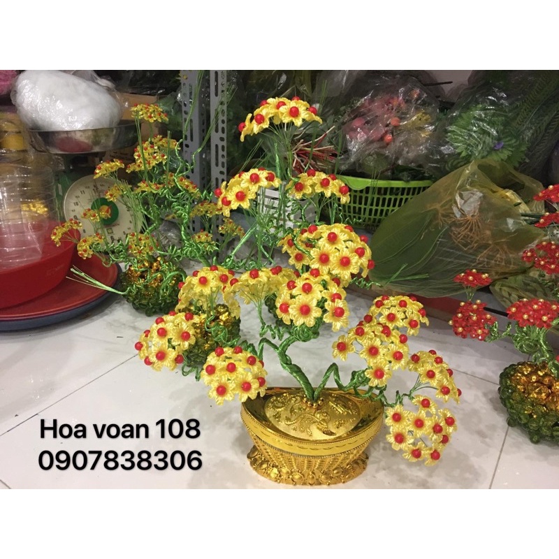 Hột châu 10 ly