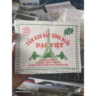Keo dính ruồi - Combo 5 miếng hiệu Đại Việt