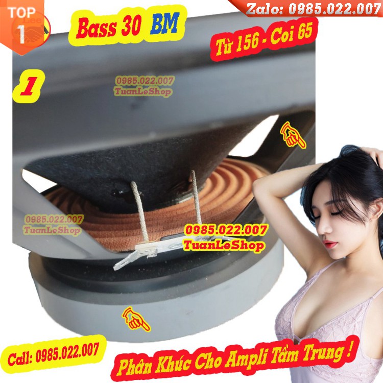 LOA BASS 3 TẤC CÔN 65 BM XƯƠNG SẮT GÂN VẢI TỪ 156 - GIÁ 1 CHIẾC BASS 30 BM SẮT