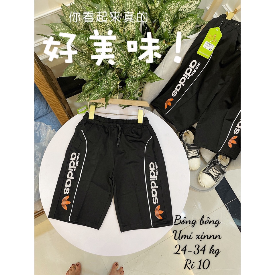 Quần ngố  UMI cao cấp