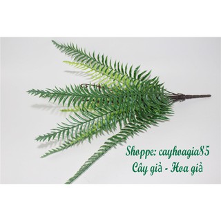 Cây giả - Cây dương xỉ cụm