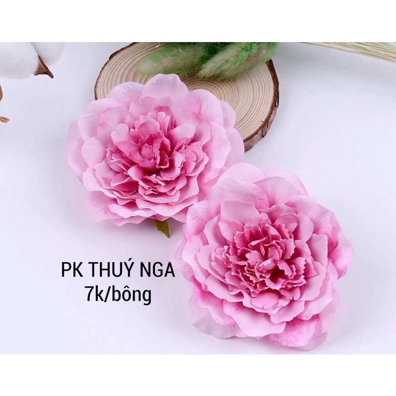 5 hoa mẫu đơn trang trí bánh
