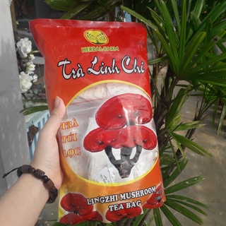 Trà linh chi túi lọc