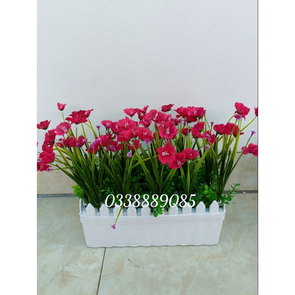 Chậu hàng rào hoa tóc tiên lụa trang trí sảnh, đế bàn, tủ sách, dercor siêu xinh ạ