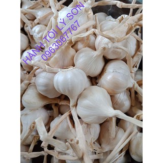 TỎI LÝ SƠN THƯỜNG LOẠI 1 (0.5 Kg)