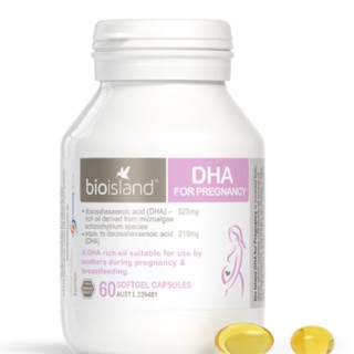Dha bầu úc 60v