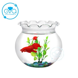 Hồ Cá Bể Cá Có Miệng Bèo Thuỷ Tinh B1 13 x 14 Cm Tặng Kèm Sỏi Và Rong Trang Trí