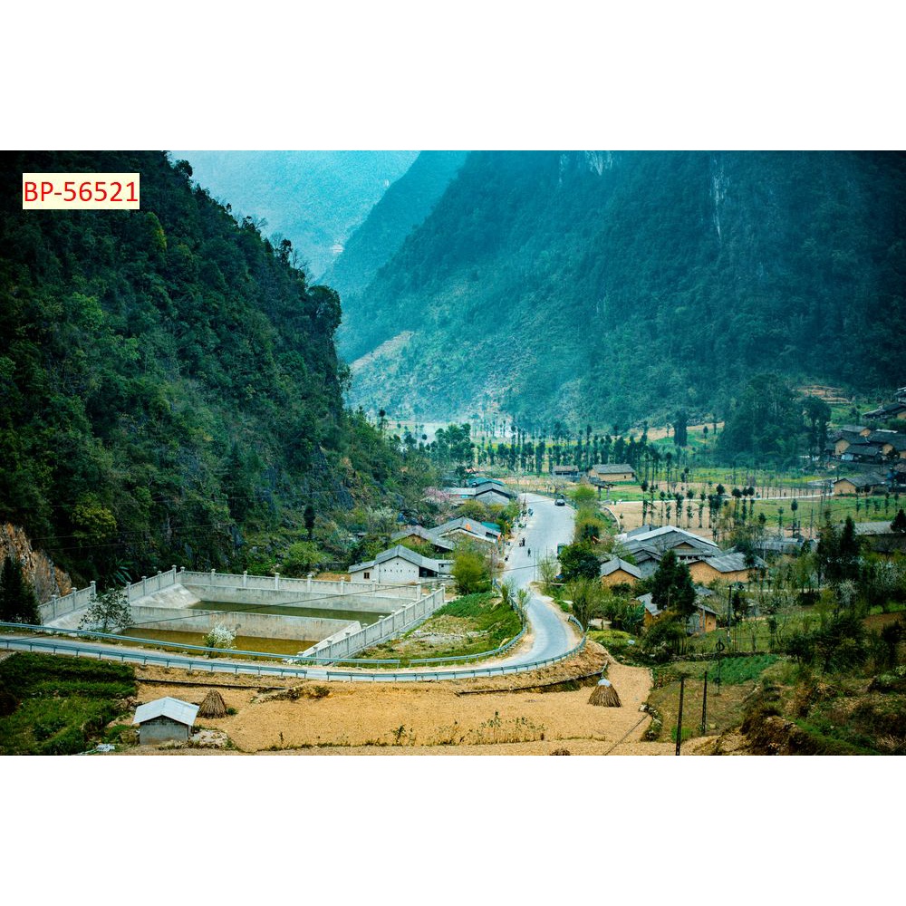 Tranh dán tường Việt Nam 3D Màu sắc tươi sáng, độ sắc nét cao, độ bền màu từ 10 năm trở lên