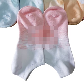 Combo 2 đôi vớ cổ ngắn nữ màu pastel