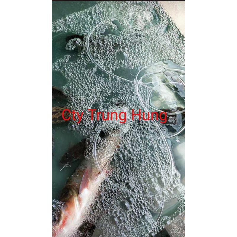 Máy sủi khí,Máy thổi khí, Máy sục khí oxy tích điện YL10000, YL 11000,YL20000.Sục liên bình ắc quy. Chính hãng