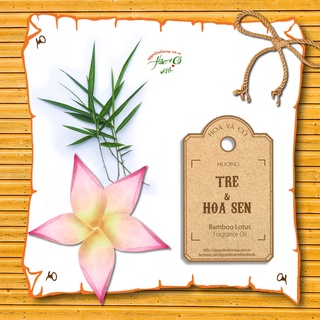 Hương tre & hoa sen