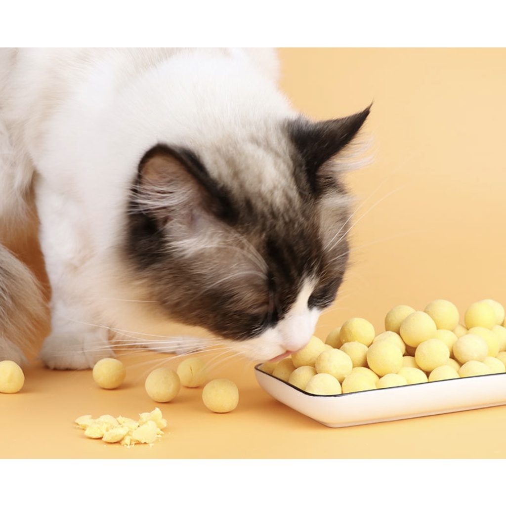 LÒNG ĐỎ TRỨNG VIÊN SẤY KHÔ CUNG CẤP PROTEIN CHO CHÓ MÈO LỌ 80g (Tiktok)