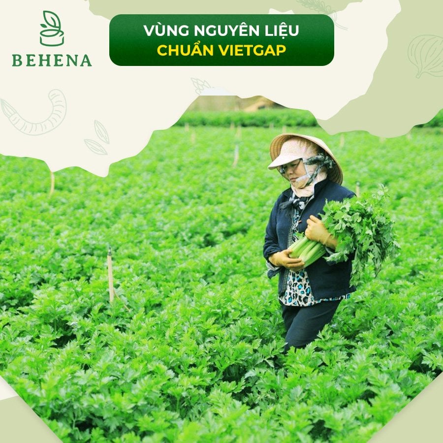 Bột rau củ sấy lạnh cho bé ăn dặm Behena (50gr) - Bột ăn dặm cho bé - làm bánh, tạo màu tự nhiên