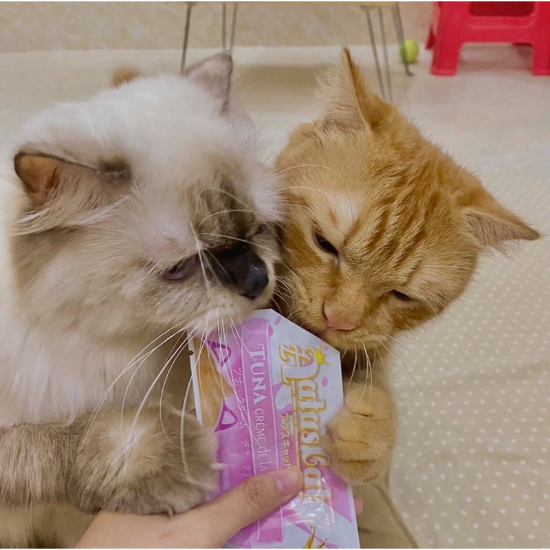 SÚP THƯỞNG AATAS CREAMY 16G CHO MÈO - Thức ăn dinh dưỡng thú cưng Gogi Meow Mart