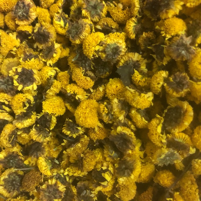 1kg hoa cúc chi sấy khô