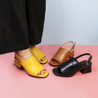 Giày cao gót MULE cổ điển thời trang nữ gót vuông cao 5cm